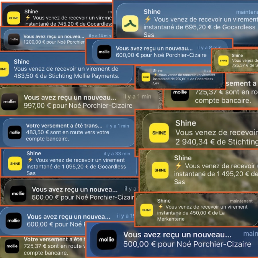 Notifications de virements reçus